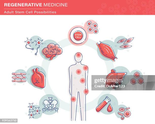 ilustraciones, imágenes clip art, dibujos animados e iconos de stock de infografías de la célula de vástago - illness