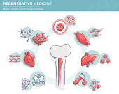 Regenerative Medicine Infographics