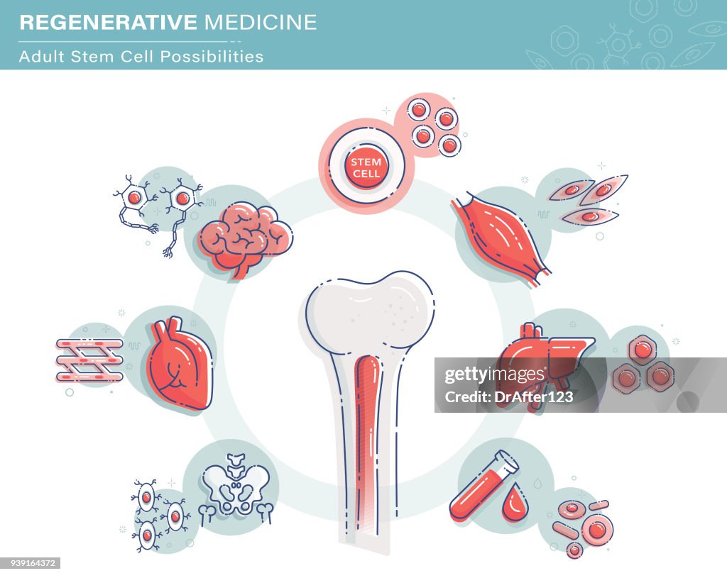 Regenerative Medicine Infographics
