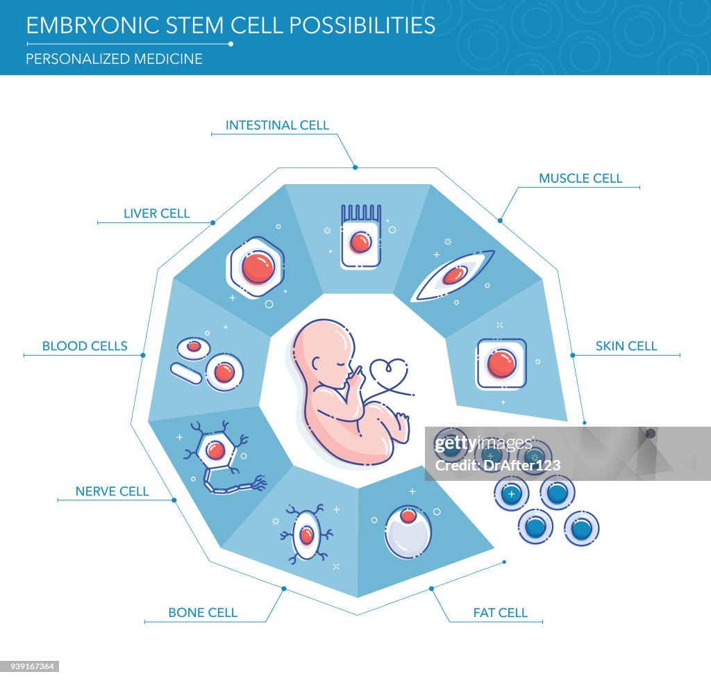 Embryonic Stem Cell Possibilities Concept.