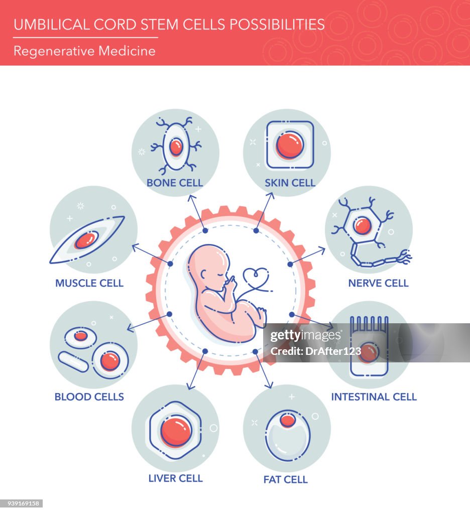 Umbilical Cord Stem Cell Possibilities