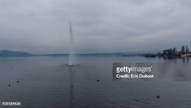 water jet - lake zug stockfoto's en -beelden
