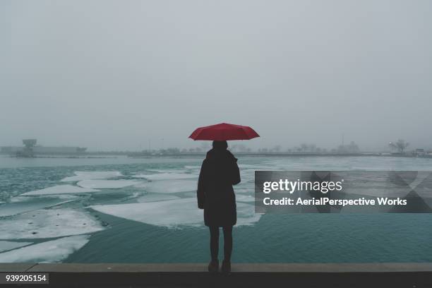 rear view of female looking at lake - michigan winter stock pictures, royalty-free photos & images