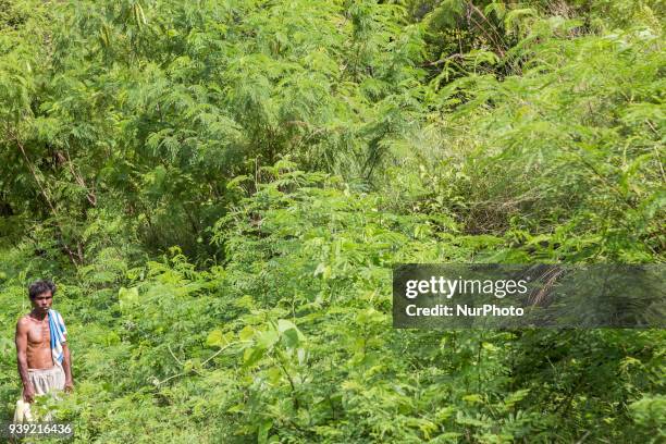 Man from Sumba Sumba as Part of East Nusa Tenggara Province in the process of becoming a province according to the Solidarity of Sumba Family in...