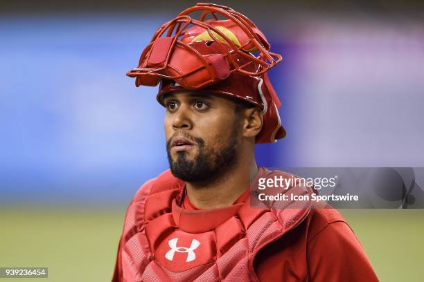 Look on St. Louis Cardinals catcher Francisco Pena during the St. Louis Cardinals versus the Toronto Blue Jays spring training game on March 27 at...