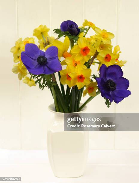 fresh spring daffodils and anemones in vase on white. - anemone flower arrangements stock pictures, royalty-free photos & images