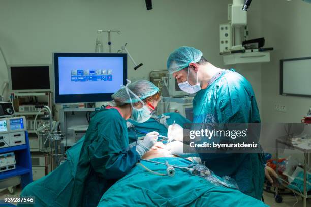 doctor in operation room - laparoscopic surgery stock pictures, royalty-free photos & images