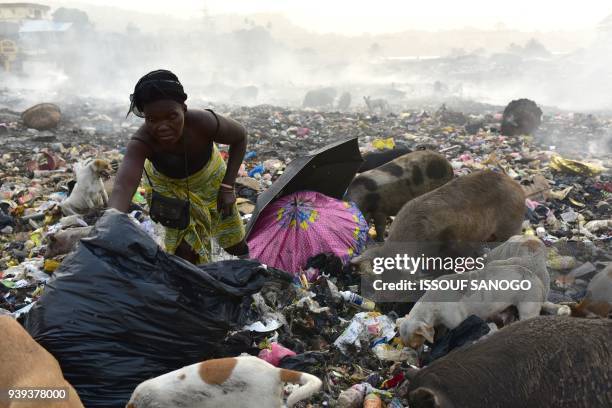 Woman stands among animals as she looks for valuables in a rubbish dump in Freetown on March 28, 2018. Sierra Leone's economy is in a dire state...
