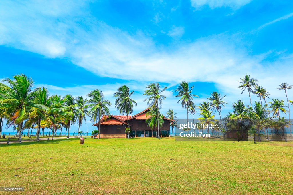 Palm and tropical beach. Beautiful nature, village landscape with Coconut Palm trees of Penarik Beach