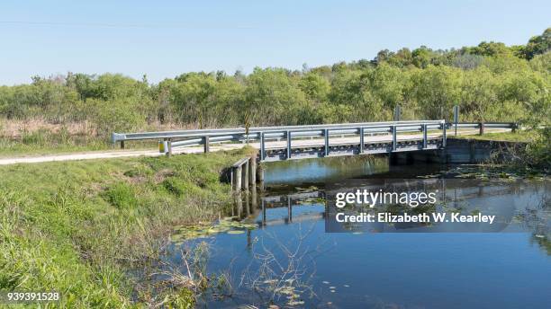 bridge at esmeralda marsh - leesburg stock pictures, royalty-free photos & images