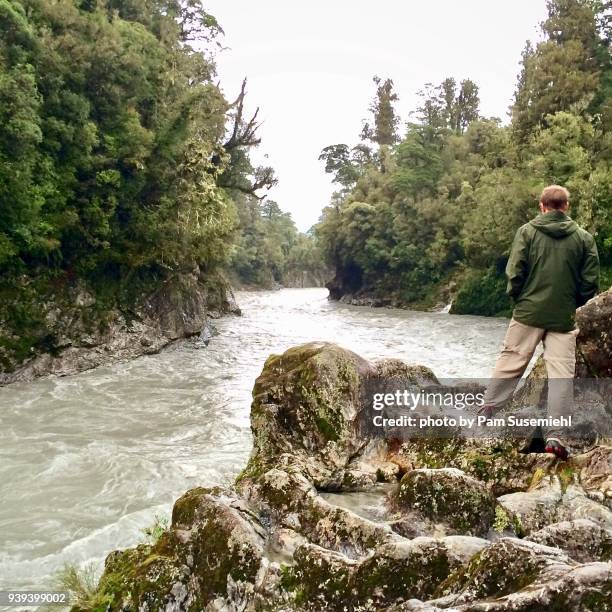 lone tourist at river's edge, south island of new zealand - new zealand connected stockfoto's en -beelden