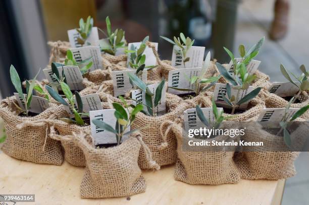 General view of atmosphere at Terra Grand Opening at Eataly Los Angeles at Eataly LA on March 28, 2018 in Los Angeles, California.