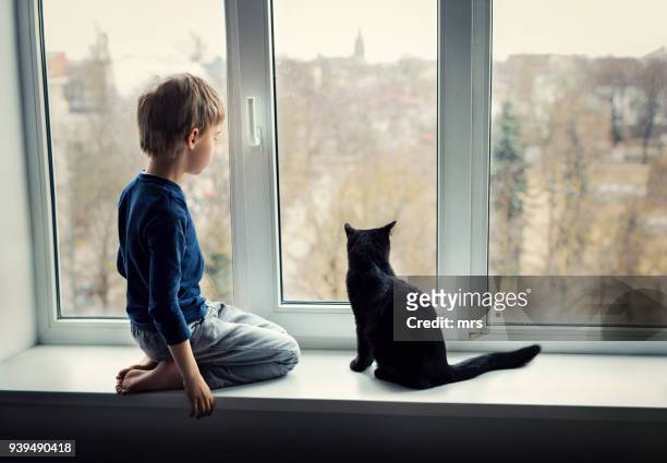 boy with a cat - cat bored stock-fotos und bilder