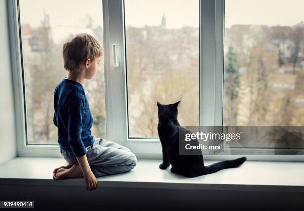 boy with a cat - cat back stock pictures, royalty-free photos & images