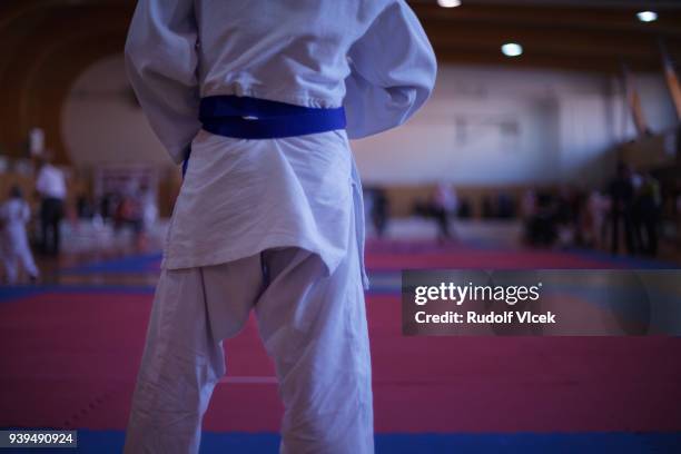 judo fighter on tatami mat in a gym - judo stock-fotos und bilder