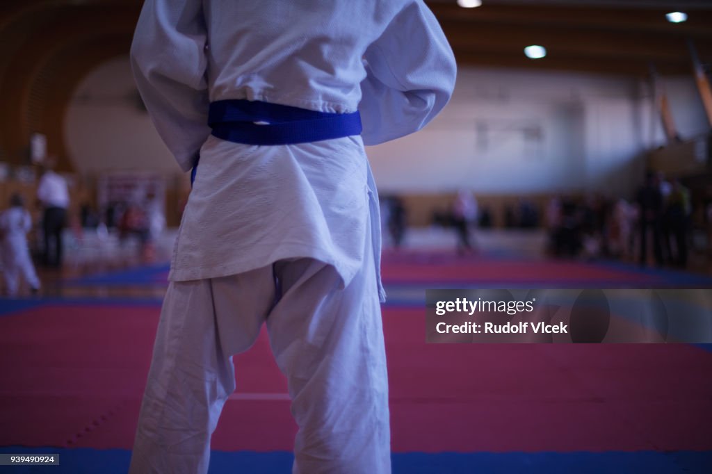 Judo fighter on tatami mat in a gym
