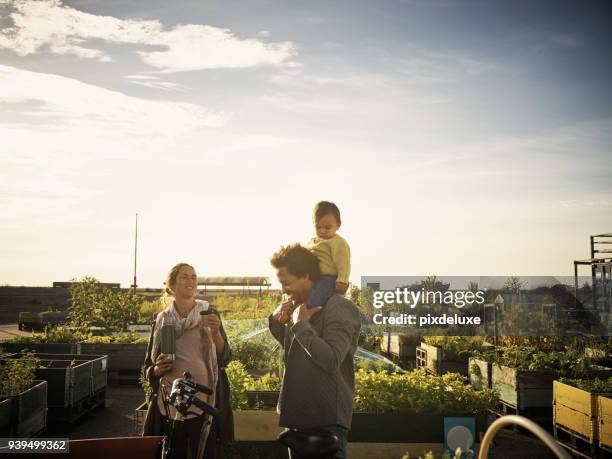 faire de l’agriculteur à commercialiser une affaire de famille - femme enceinte jardin photos et images de collection