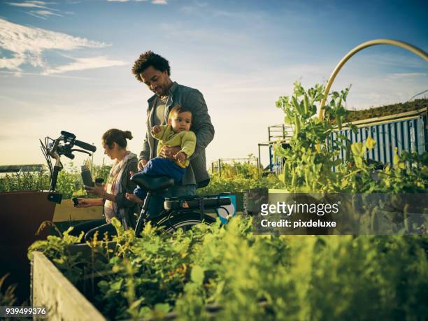 biologische samengaan, samen groeien - young family outdoors stockfoto's en -beelden