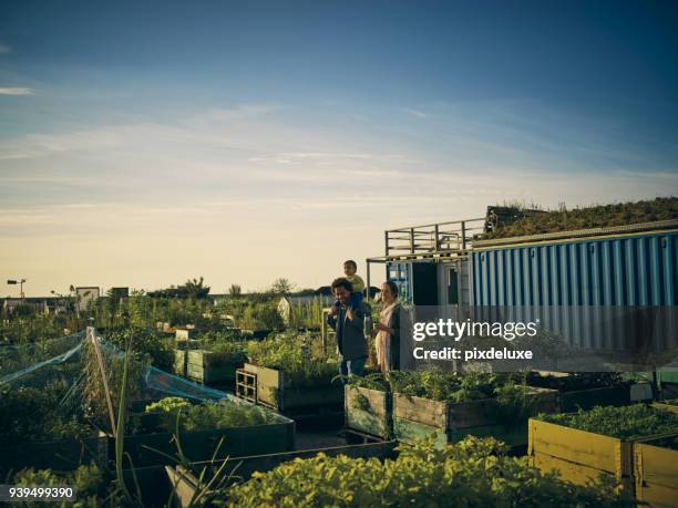 je bent nooit te jong om te gaan groen - autarkie stockfoto's en -beelden