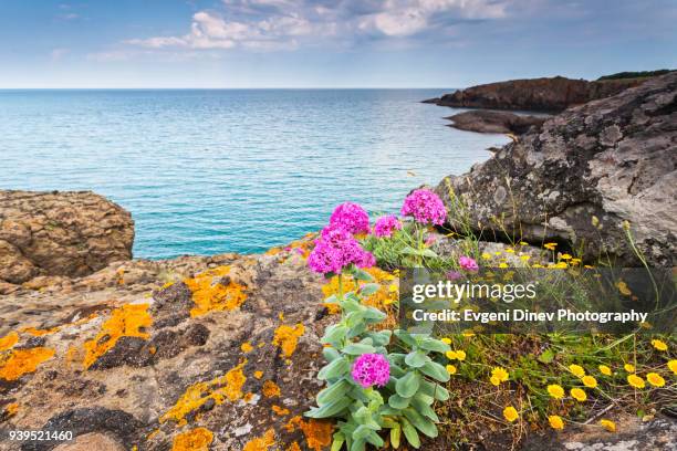 bulgaria, black sea - juny 2012: silistar protected area - evgeni dinev stock pictures, royalty-free photos & images