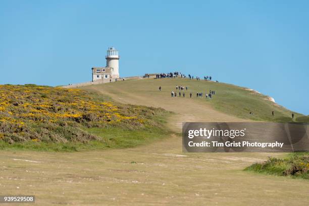 belle tout lighthouse at beachy head - belle tout lighthouse fotografías e imágenes de stock