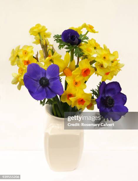 fresh spring flowers, daffodils & anemones in vase on white - anemone flower arrangements stock pictures, royalty-free photos & images