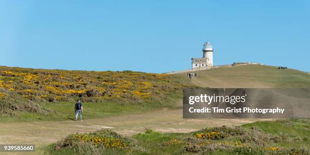 belle tout lighthouse at beachy head panoram - belle tout lighthouse stock-fotos und bilder