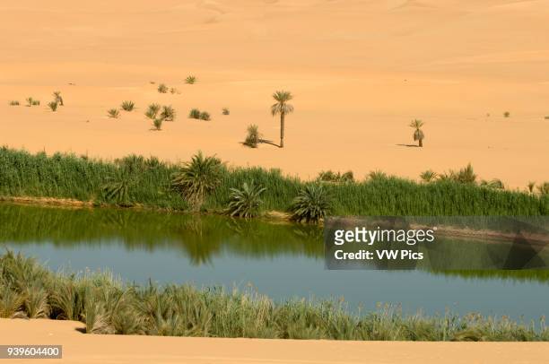 Mafu lake, Erg Awbari, Sahara desert, Fezzan, Libya.
