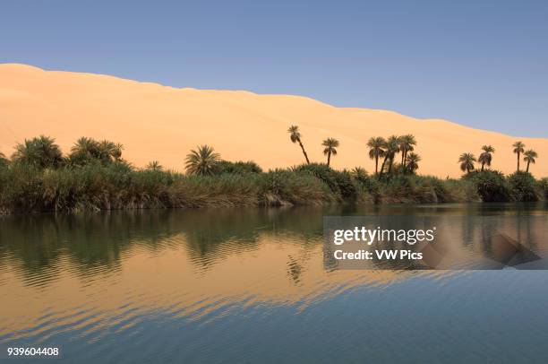 Umm El Ma lake, Erg Awbari, Sahara desert, Fezzan, Libya.