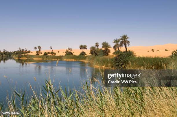 Umm El Ma lake, Erg Awbari, Sahara desert, Fezzan, Libya.