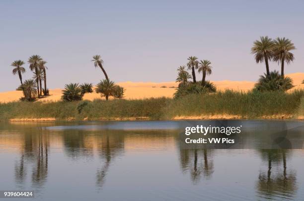 Umm El Ma lake, Erg Awbari, Sahara desert, Fezzan, Libya.