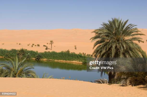 Mafu lake, Erg Awbari, Sahara desert, Fezzan, Libya.