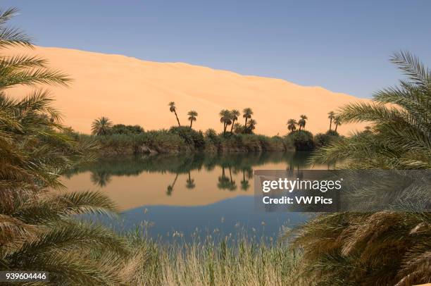 Umm El Ma lake, Erg Awbari, Sahara desert, Fezzan, Libya.