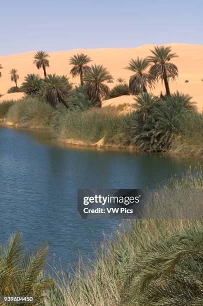 Umm El Ma lake, Erg Awbari, Sahara desert, Fezzan, Libya.