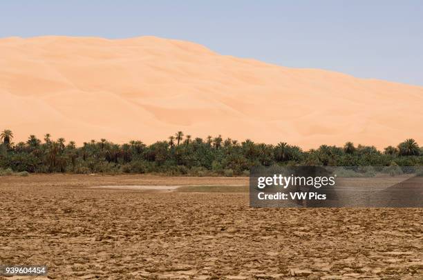 Mandara lake, Erg Awbari, Sahara desert, Fezzan, Libya.