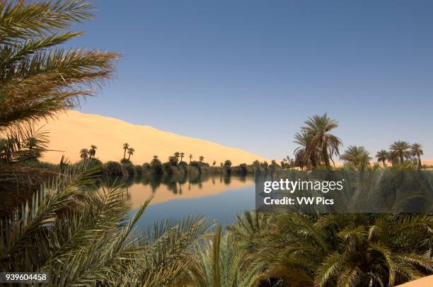 Umm El Ma lake, Erg Awbari, Sahara desert, Fezzan, Libya.