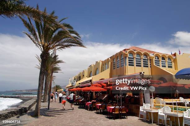 Spain. Canary Islands. Tenerife. Playa de las Americas.