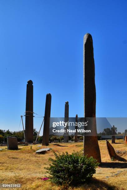 Axsum Pattern Axum (Aksum) Photos and Premium High Res Pictures - Getty Images