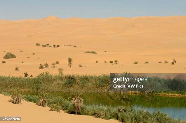 Mafu lake, Erg Awbari, Sahara desert, Fezzan, Libya.