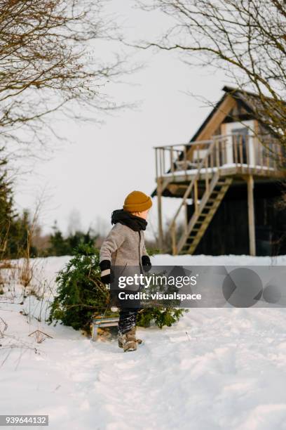 a boy with christmas tree in winter - drag christmas tree stock pictures, royalty-free photos & images