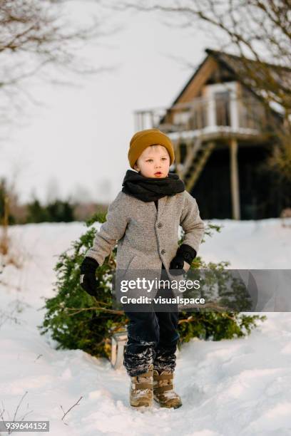 a boy with christmas tree in winter - christmas scandinavia stock pictures, royalty-free photos & images