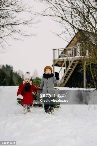brother and sister dragging a christmas tree - drag christmas tree stock pictures, royalty-free photos & images