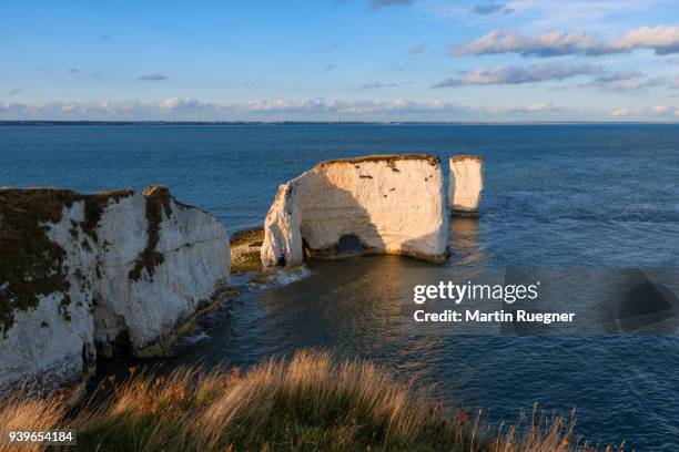 old harry rocks, chalk cliffs and sea stacks. - baie de studland photos et images de collection