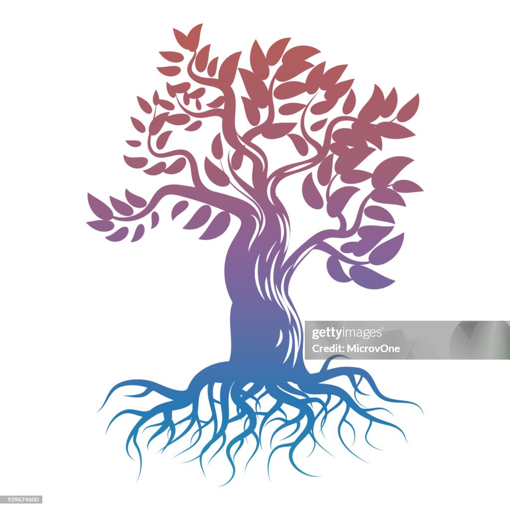 Tree's Roots Represent Magic Magic Bright Tree With Roots Tree Silhouette High-Res Vector Graphic ...