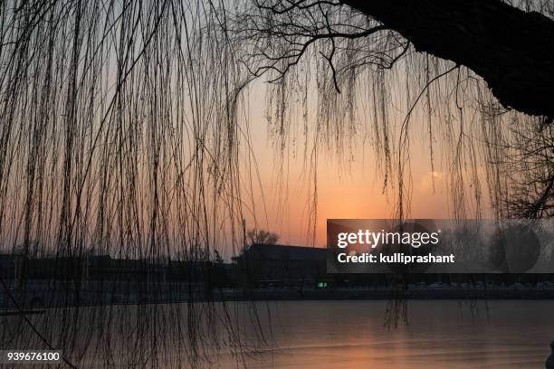 sunset with frozen lake, and tree branches in foreground, beihai park, beijing - beihai stock pictures, royalty-free photos & images