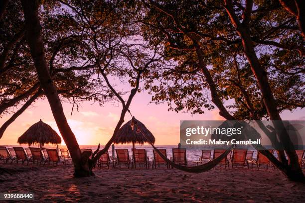 sunset at a beach - nayarit stockfoto's en -beelden