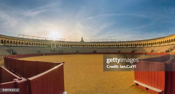 la real maestranza of seville - corrida de touros imagens e fotografias de stock