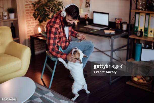 frilansare arbetar hemifrån och leker med sin hund - man dog home bildbanksfoton och bilder