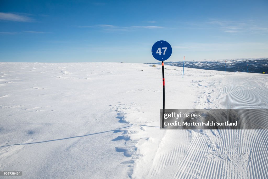A Piste Marker on a Ski Slope in Southern Norway, Wintertime