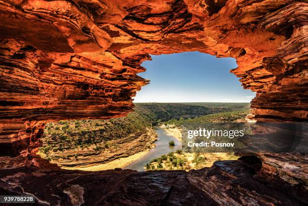 nature window - outback australia photos et images de collection